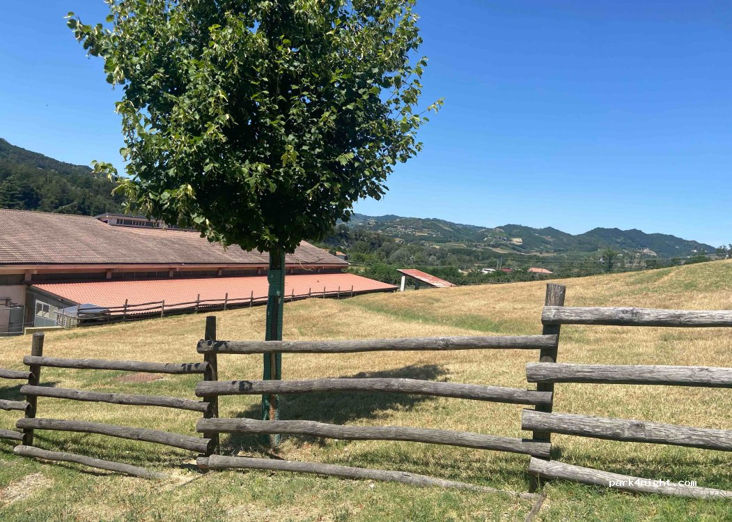 Agriturismo Cascina Adorno — foto 2