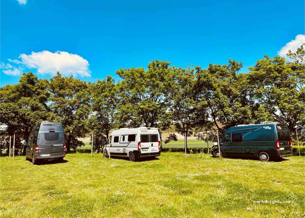 Wohnmobilstellplatz Wonsheim — foto 4