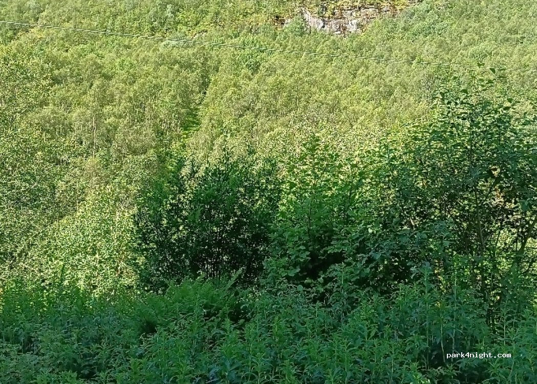 (6884) Øvre Årdal - 567 Fardalsvegen — foto 3