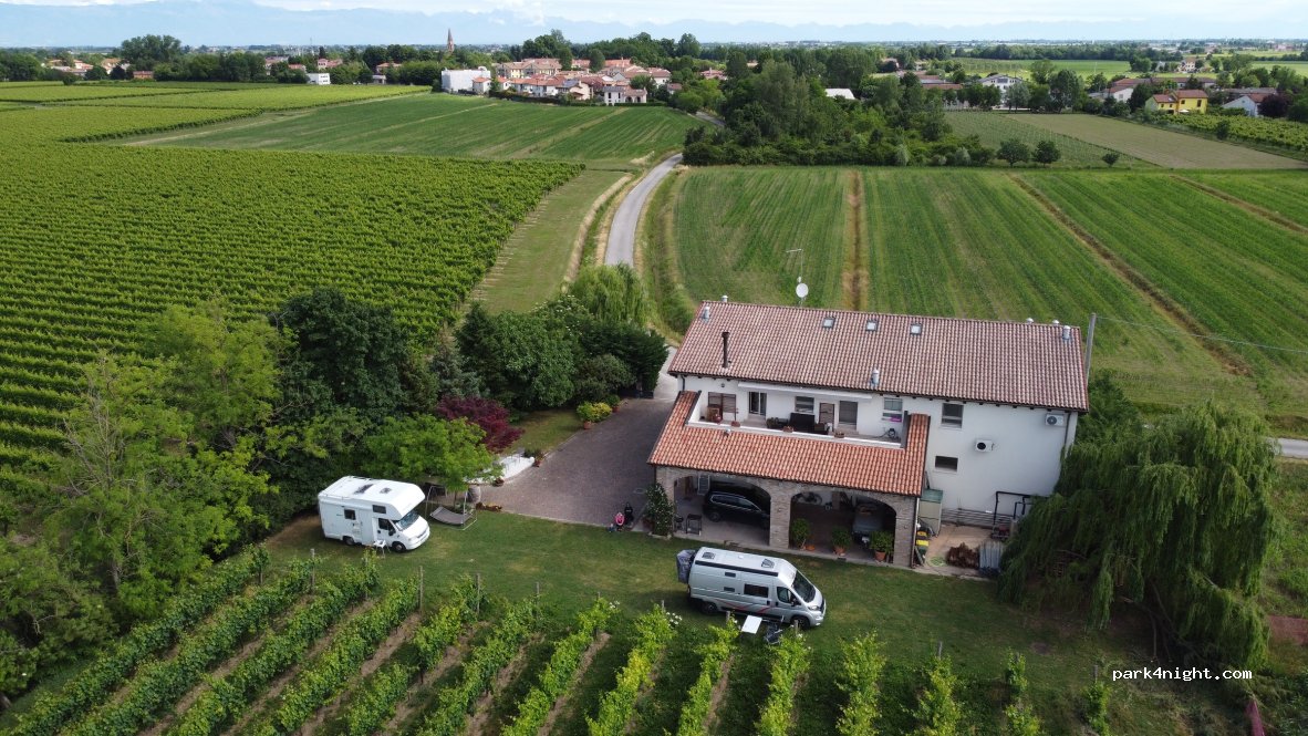 Sfriso Winery — foto