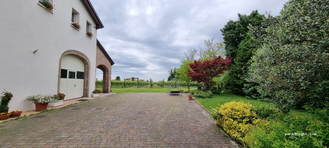 Sfriso Winery — foto 4