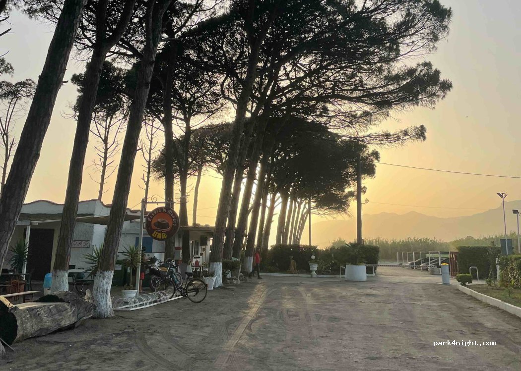 Camping Pineta di Pasquale Carpino — foto