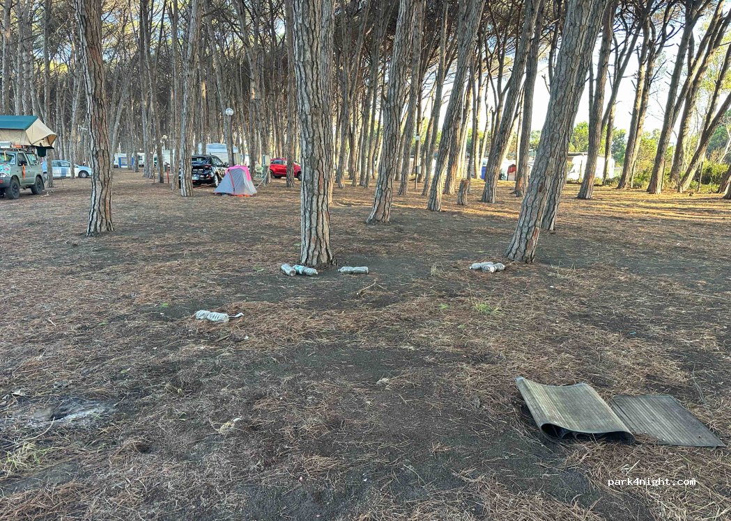 Camping Pineta di Pasquale Carpino — foto 3