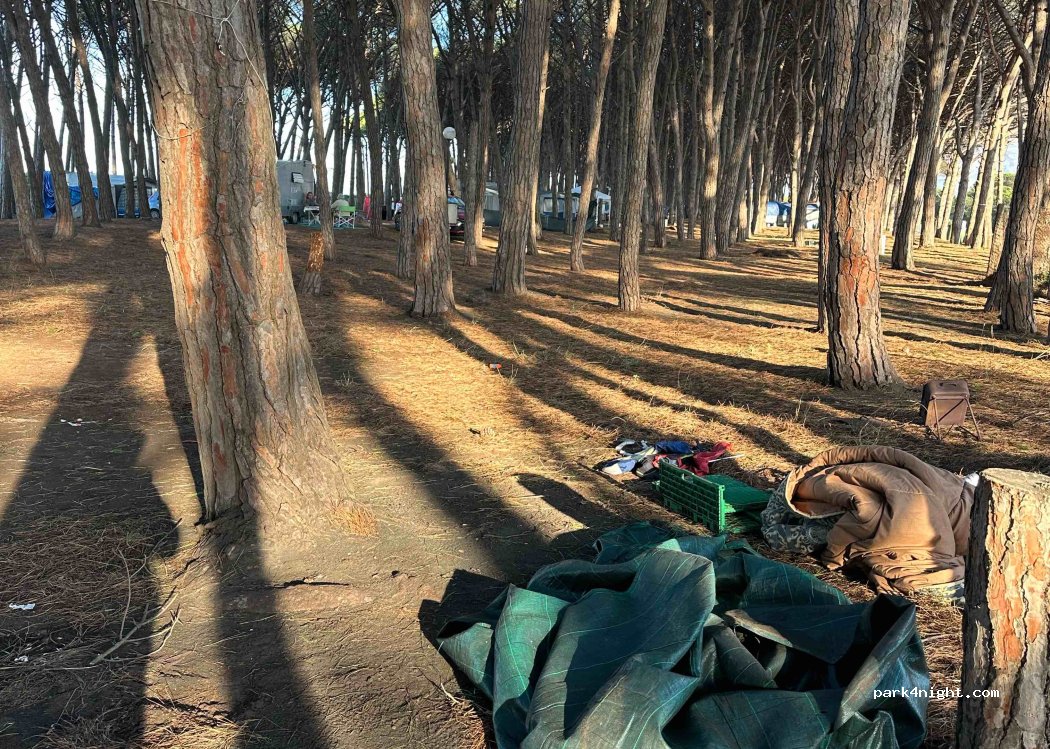 Camping Pineta di Pasquale Carpino — foto 4