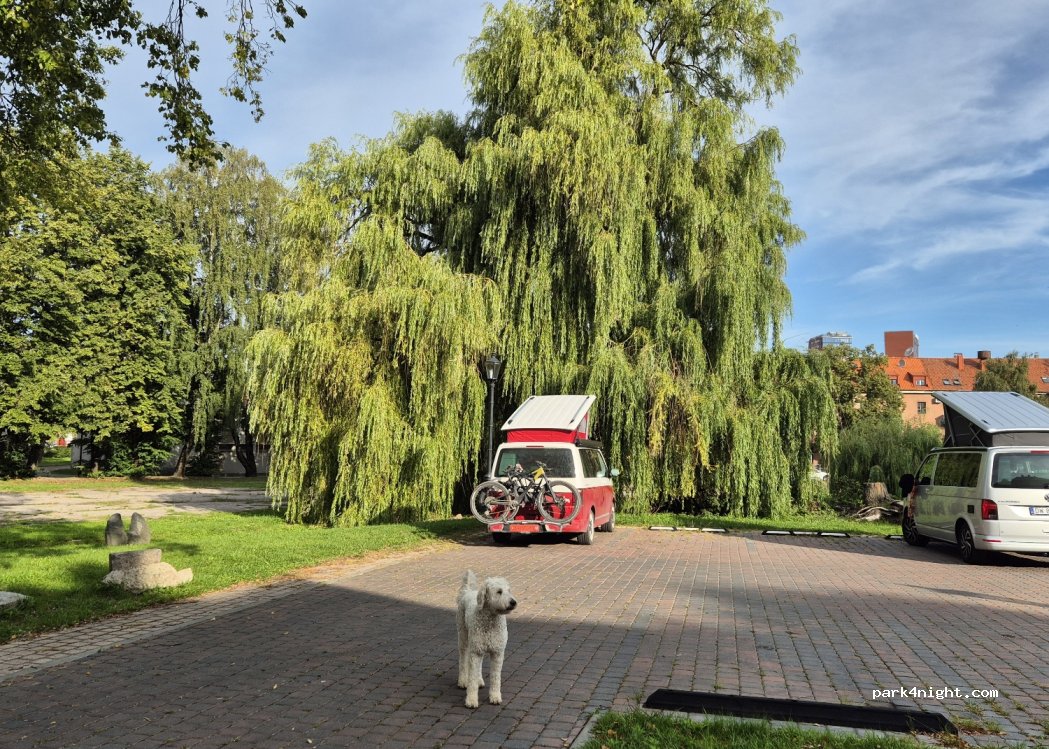 (91246) Klaipėda - 5 Aukštoji gatvė — foto