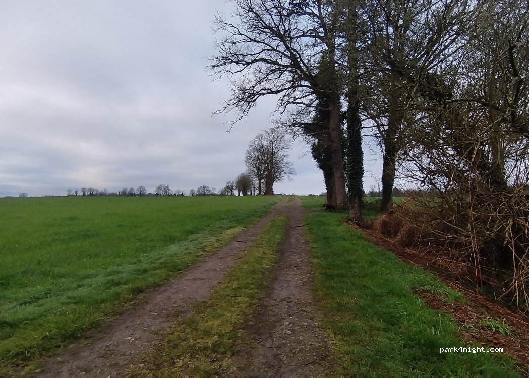 (16310) Massignac - — foto 4