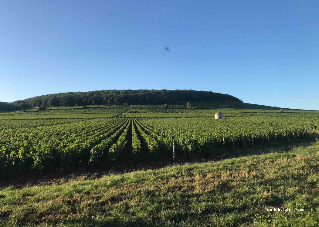 (21420) Savigny-lès-Beaune - Unnamed Road — foto