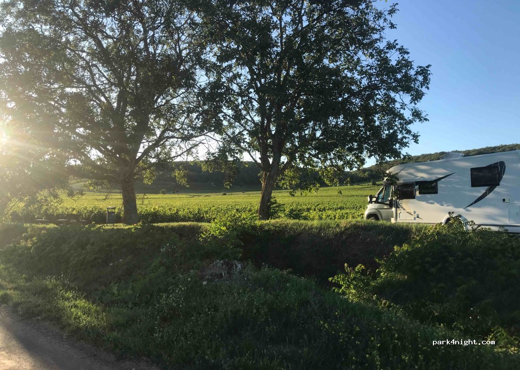 (21420) Savigny-lès-Beaune - Unnamed Road — foto 2