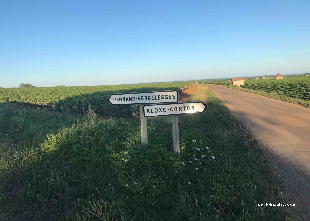 (21420) Savigny-lès-Beaune - Unnamed Road — foto 3
