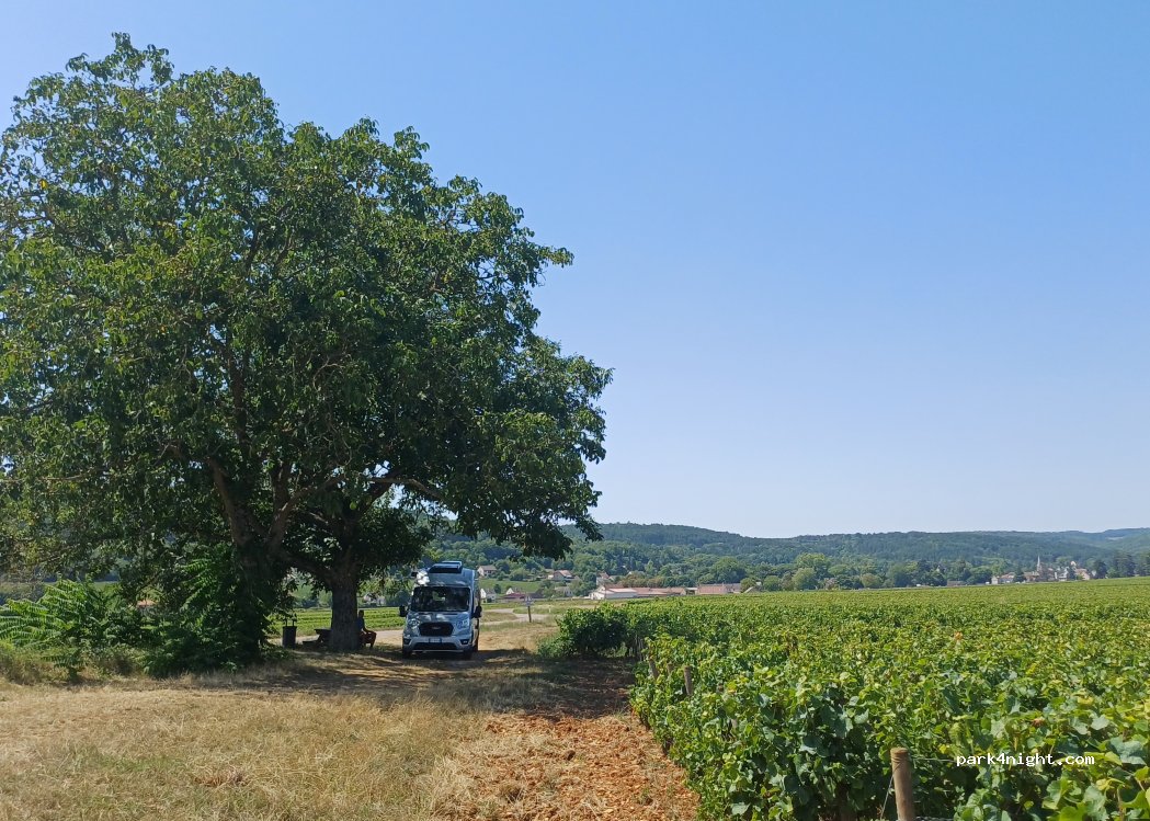 (21420) Savigny-lès-Beaune - Unnamed Road — foto 5