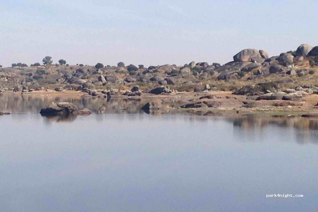 (10910) Malpartida de Cáceres - 1 Extramuros Diseminados — foto