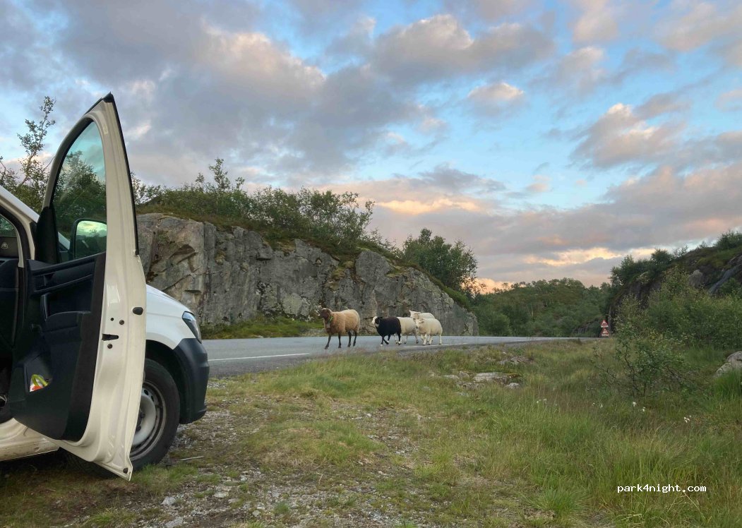 (4443)  - 32 Sekundær Fylkesveg 986 — foto