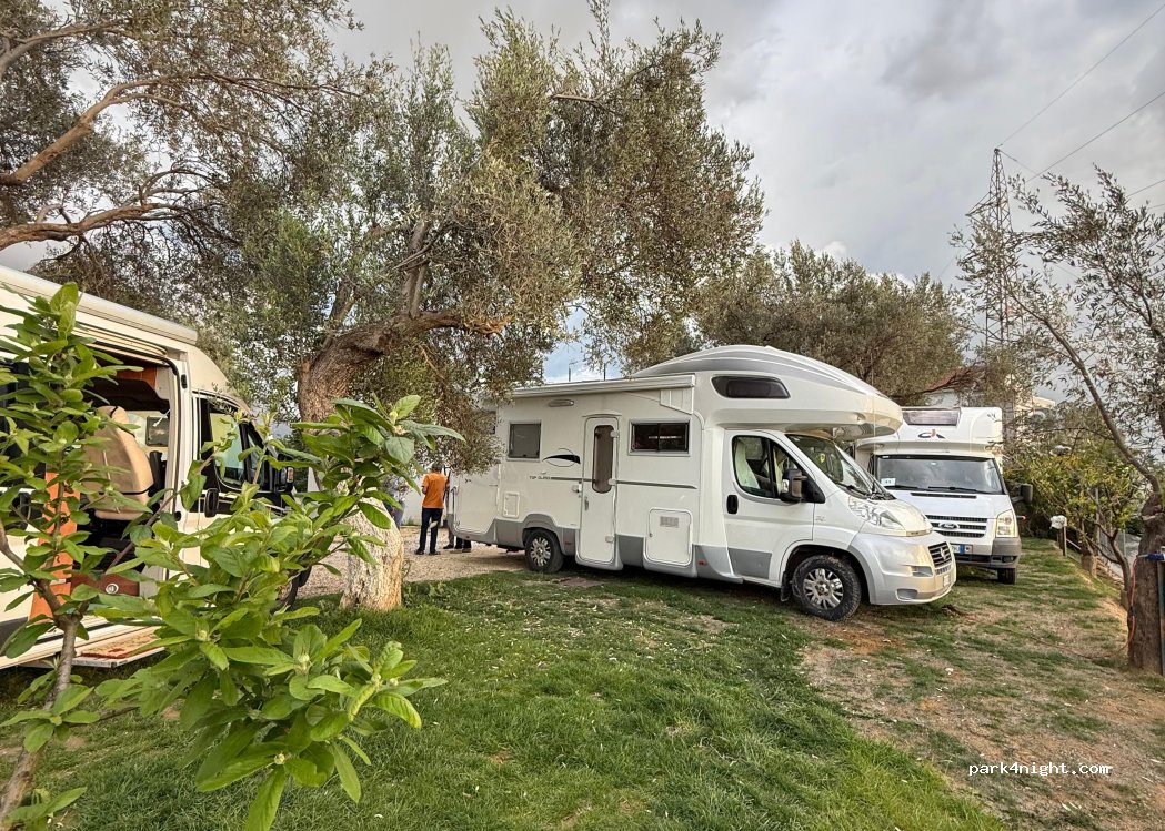Kruja Vista Camping — foto 4