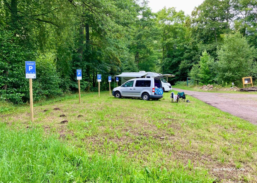 Königlich-wilde Übernachtung im Kurpark — foto 2