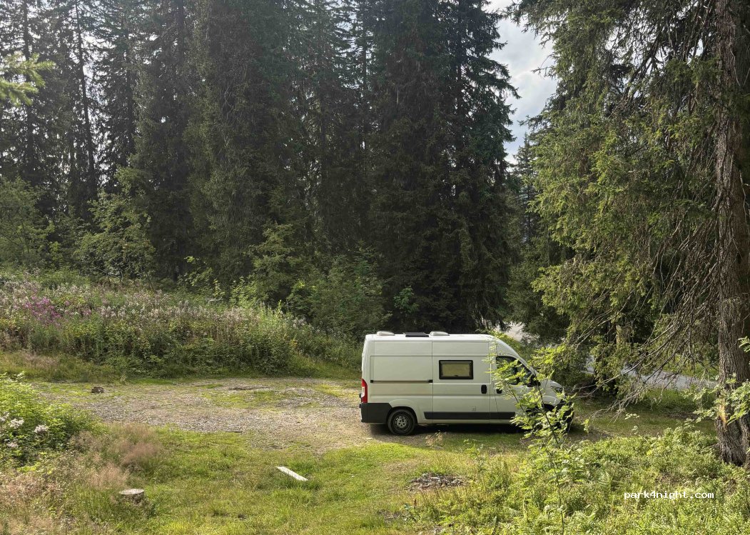 (74110) Montriond - D338 — foto 5