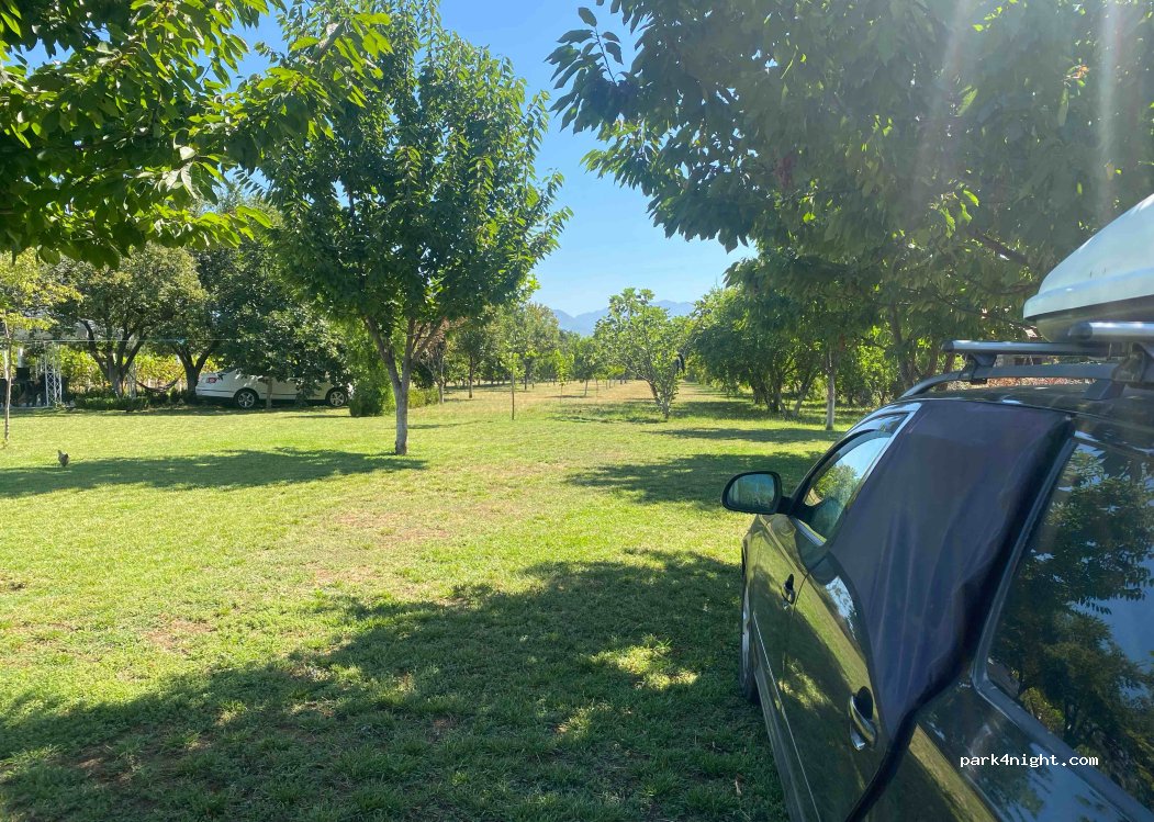 Michiscamping — foto 2