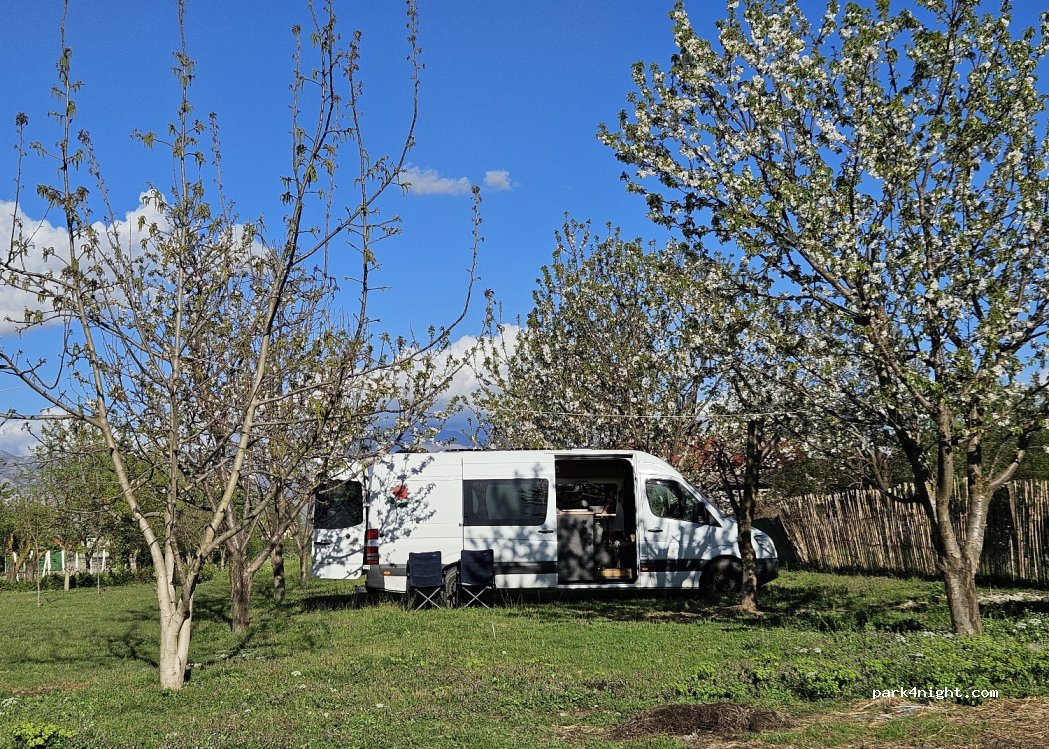 Michiscamping — foto 4