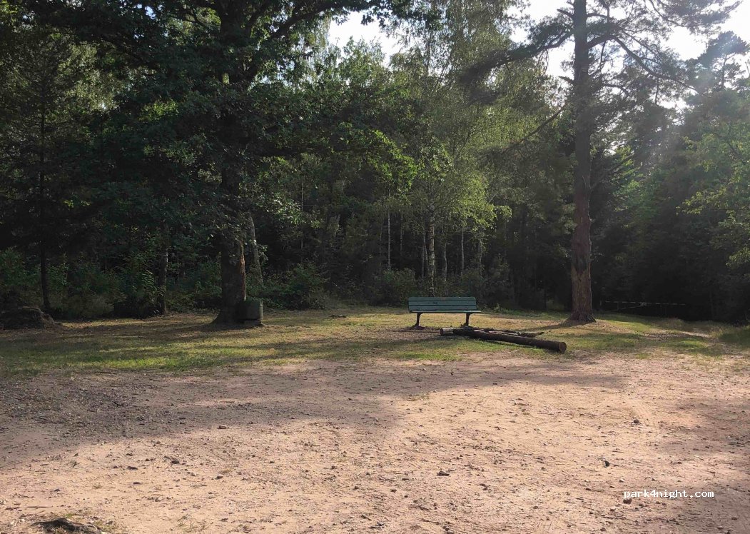 (88100) Nayemont-les-Fosses - 482 Chemin des Trois Fontaines — foto