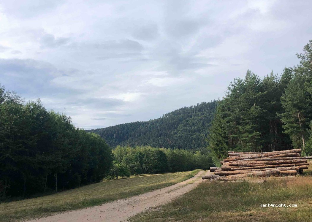 (88100) Nayemont-les-Fosses - 482 Chemin des Trois Fontaines — foto 2
