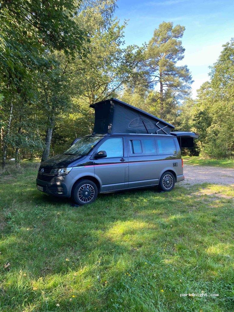 (88100) Nayemont-les-Fosses - 482 Chemin des Trois Fontaines — foto 3
