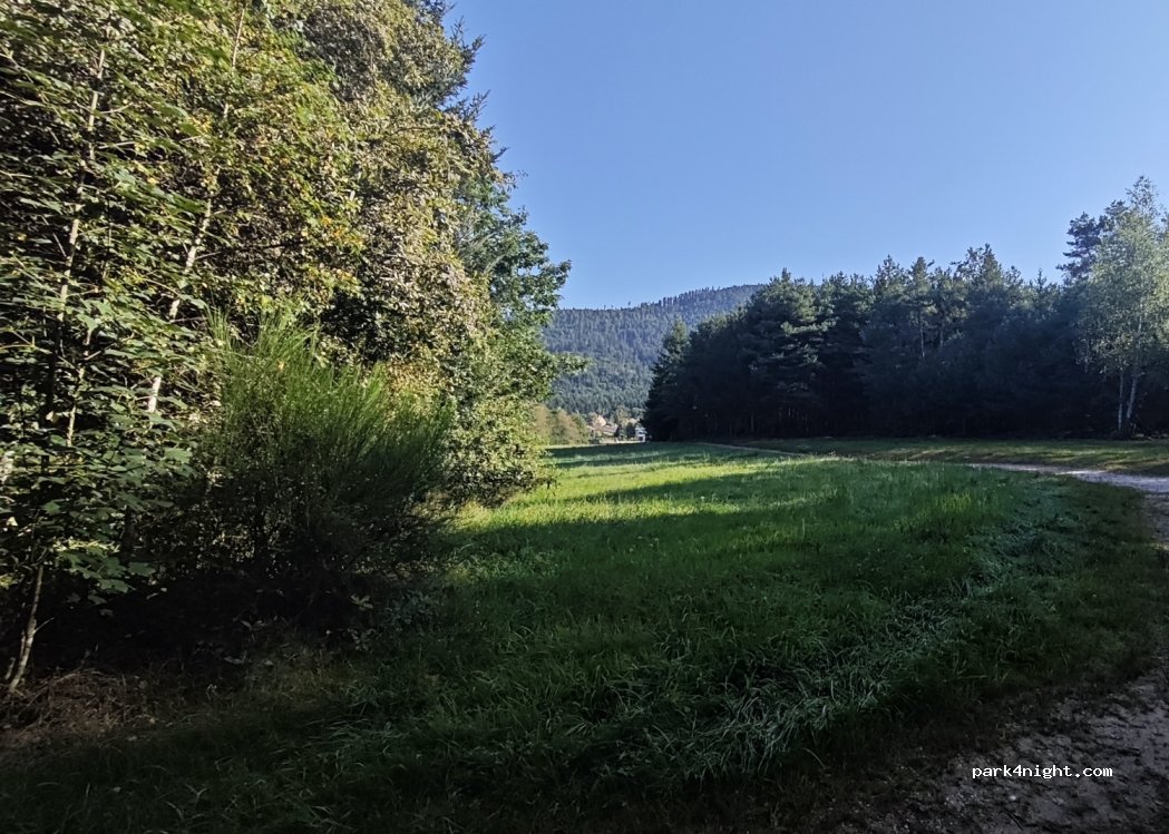 (88100) Nayemont-les-Fosses - 482 Chemin des Trois Fontaines — foto 4