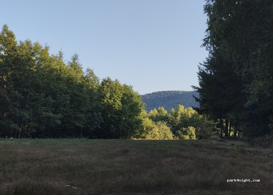 (88100) Nayemont-les-Fosses - 482 Chemin des Trois Fontaines — foto 5