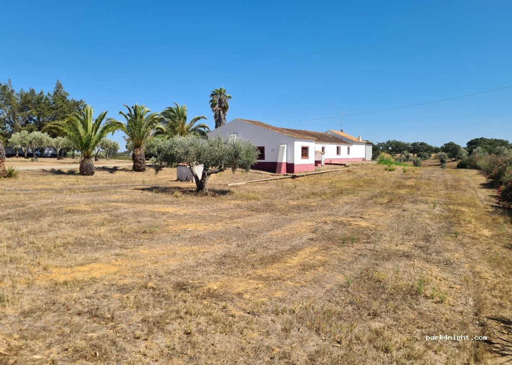 Adega dos Nascedios — foto 2