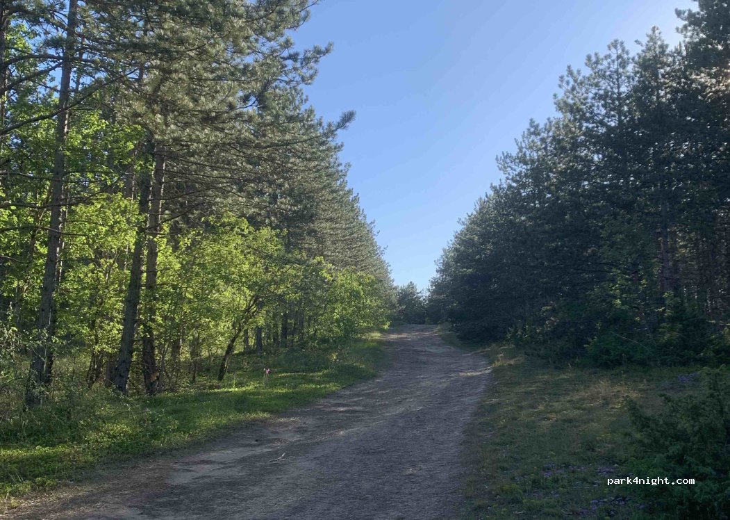 () Massegros Causses Gorges - — foto 5