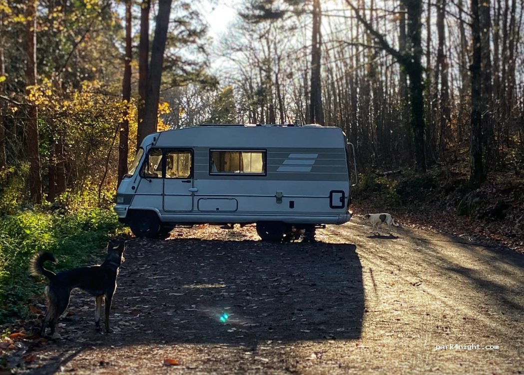 (67140) Andlau - Près de l'auberge dee Hungerplatz — foto 5