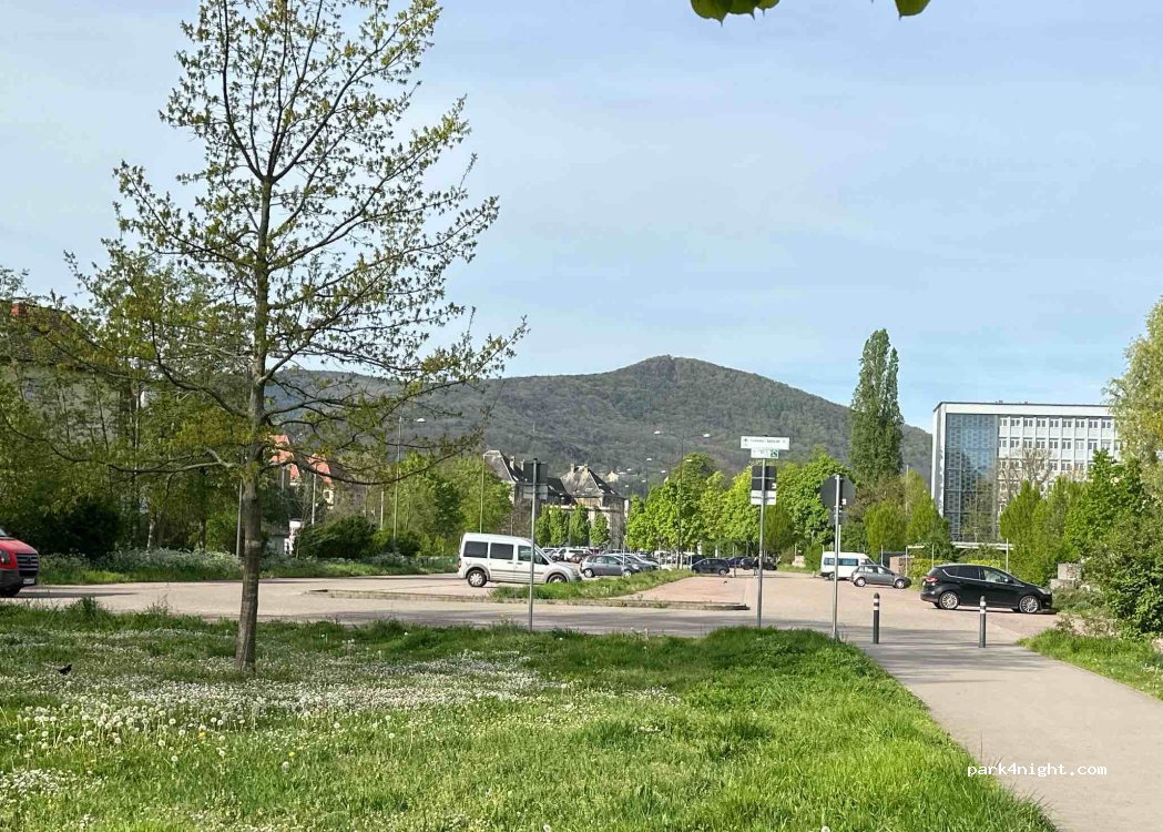 (67433) Neustadt an der Weinstraße - 15 Wiesenstraße — foto 4