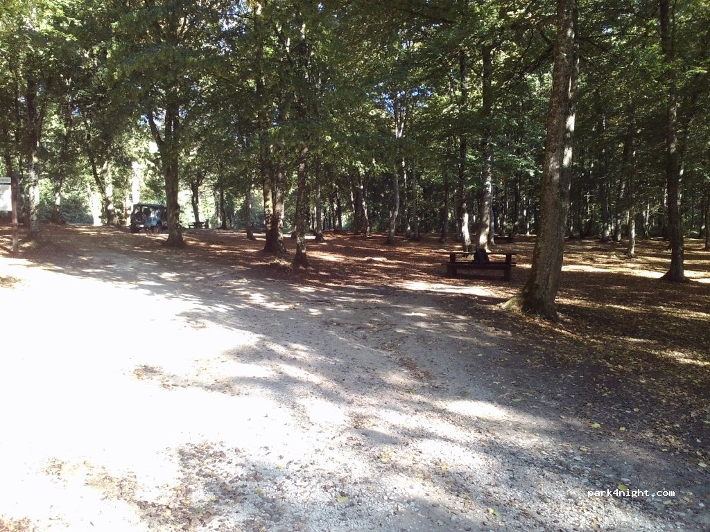 (55430) Belleville-sur-Meuse - Chemin départemental stratégique n°2 de Belleville sur Meuse à la Grimoire — foto