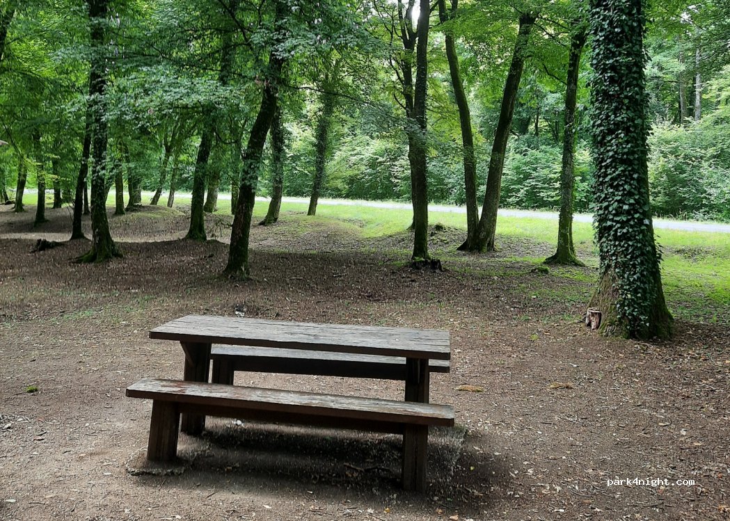 (55430) Belleville-sur-Meuse - Chemin départemental stratégique n°2 de Belleville sur Meuse à la Grimoire — foto 3