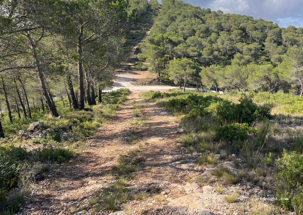 (43714) La Vall de Sant Marc - — foto 2