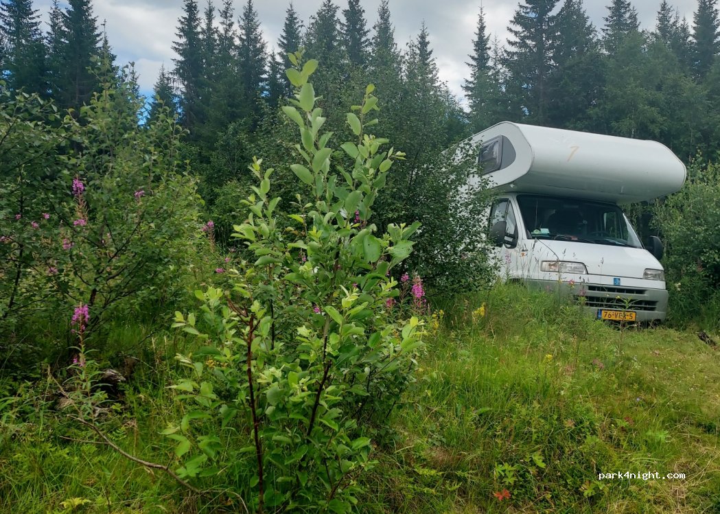(3891) Høydalsmo - Lårdalsvegen — foto