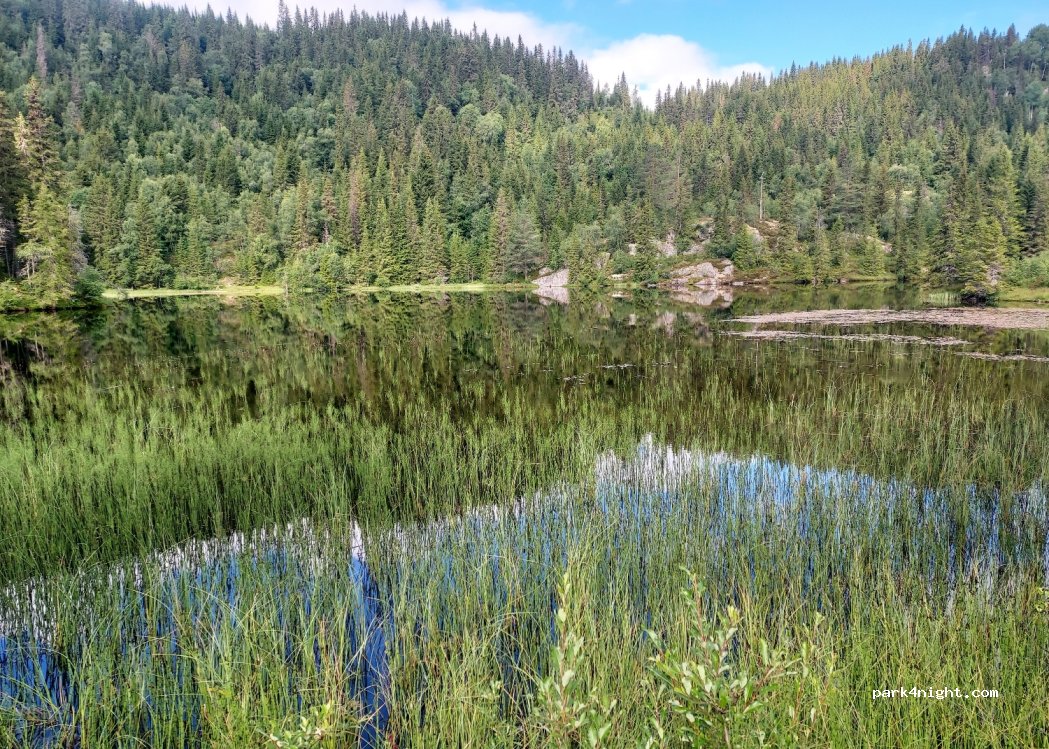 (3891) Høydalsmo - Lårdalsvegen — foto 3