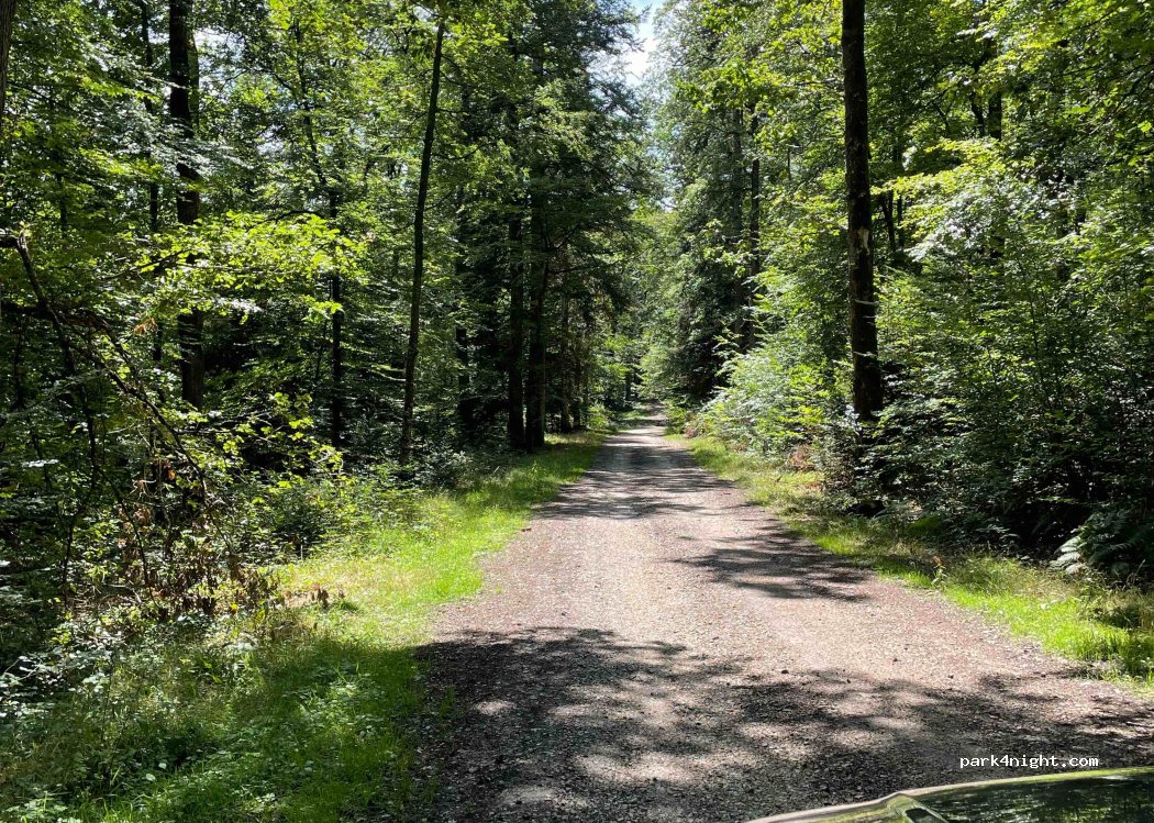 (61250) Saint-Nicolas-des-Bois - 81 L'Ermitage — foto 3