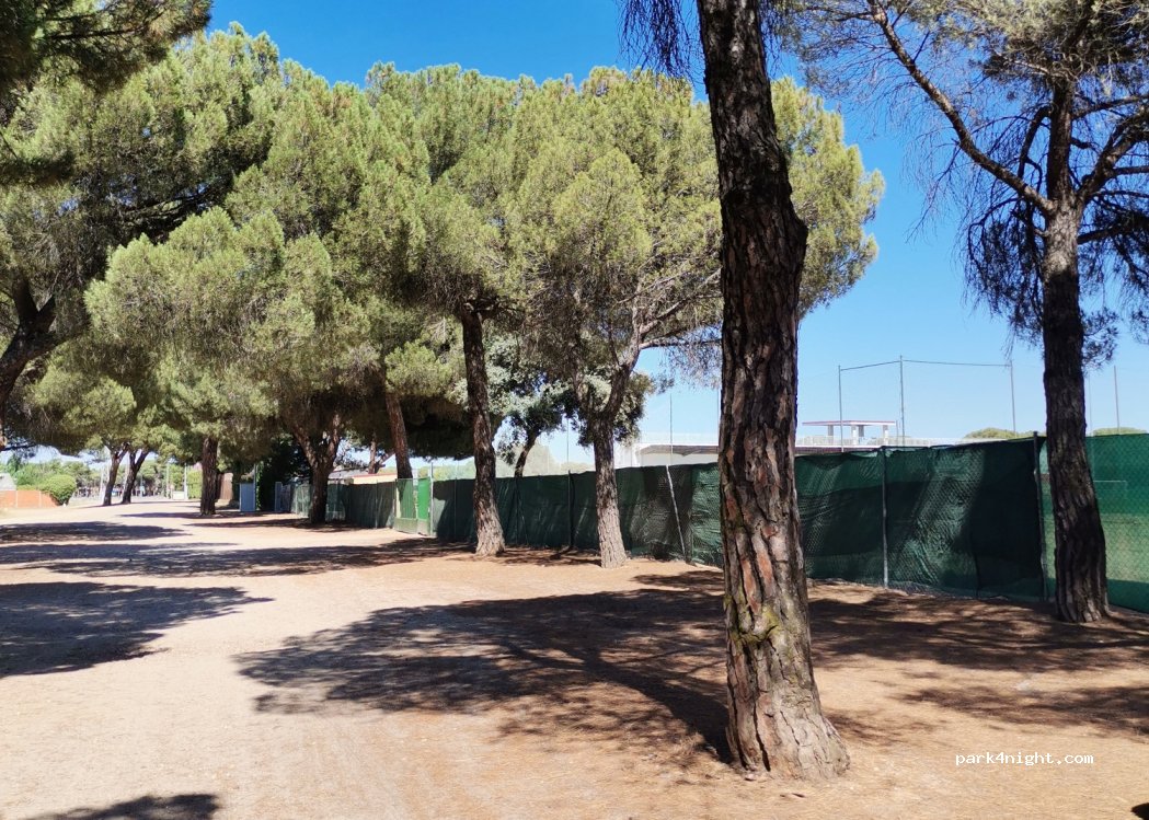 (47130) Simancas - 16D Carretera Puente Duero — foto 4