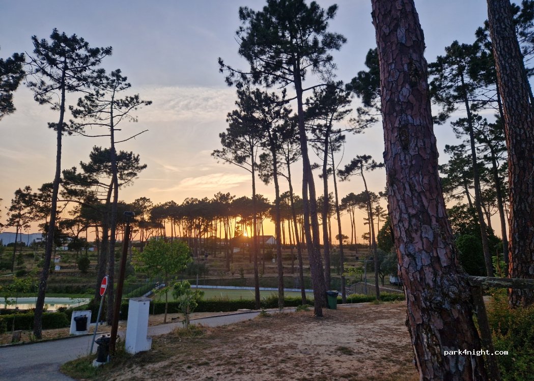 Parque Municipal de Campismo da Figueira da Foz — foto 3