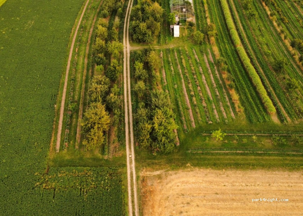 (88430) Rot an der Rot - — foto 4
