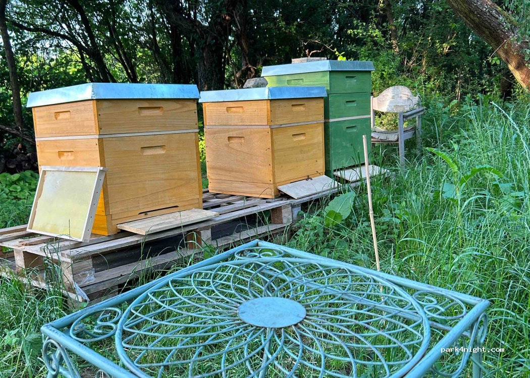 Übernachten im “Geheimen Garten” — foto 4