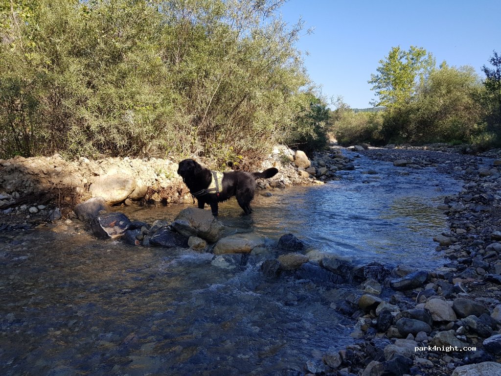 (04000) Digne-les-Bains - 31 Chemin du Rouveyret — foto