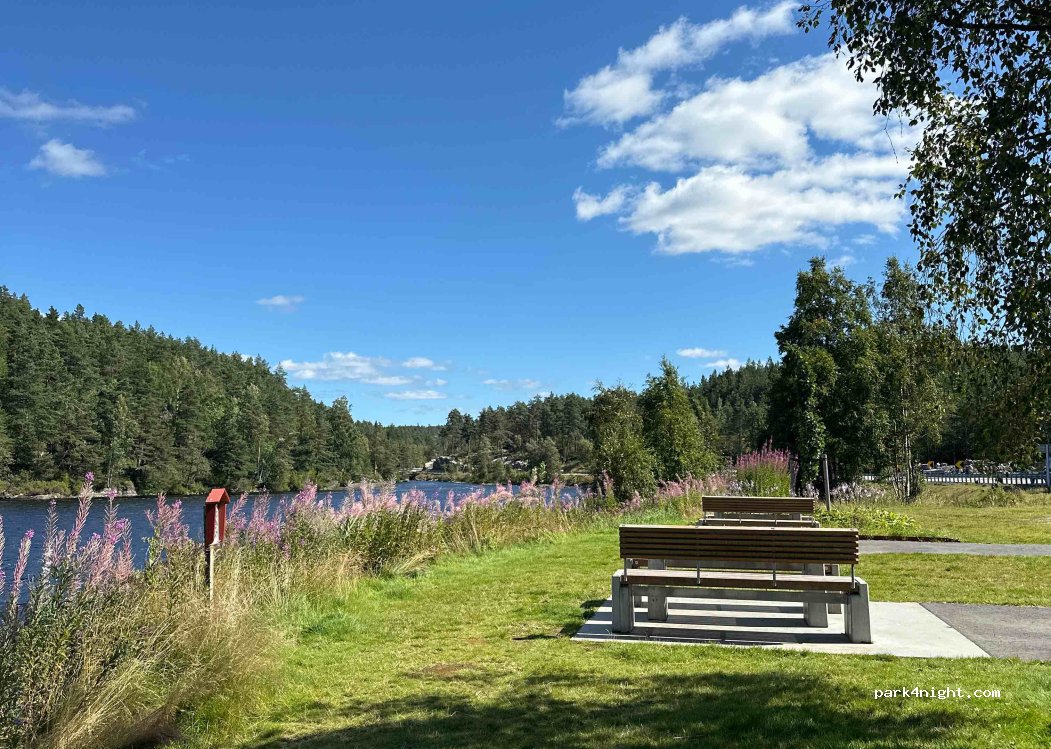 (4720) Hægeland - Rv9 50 — foto 3