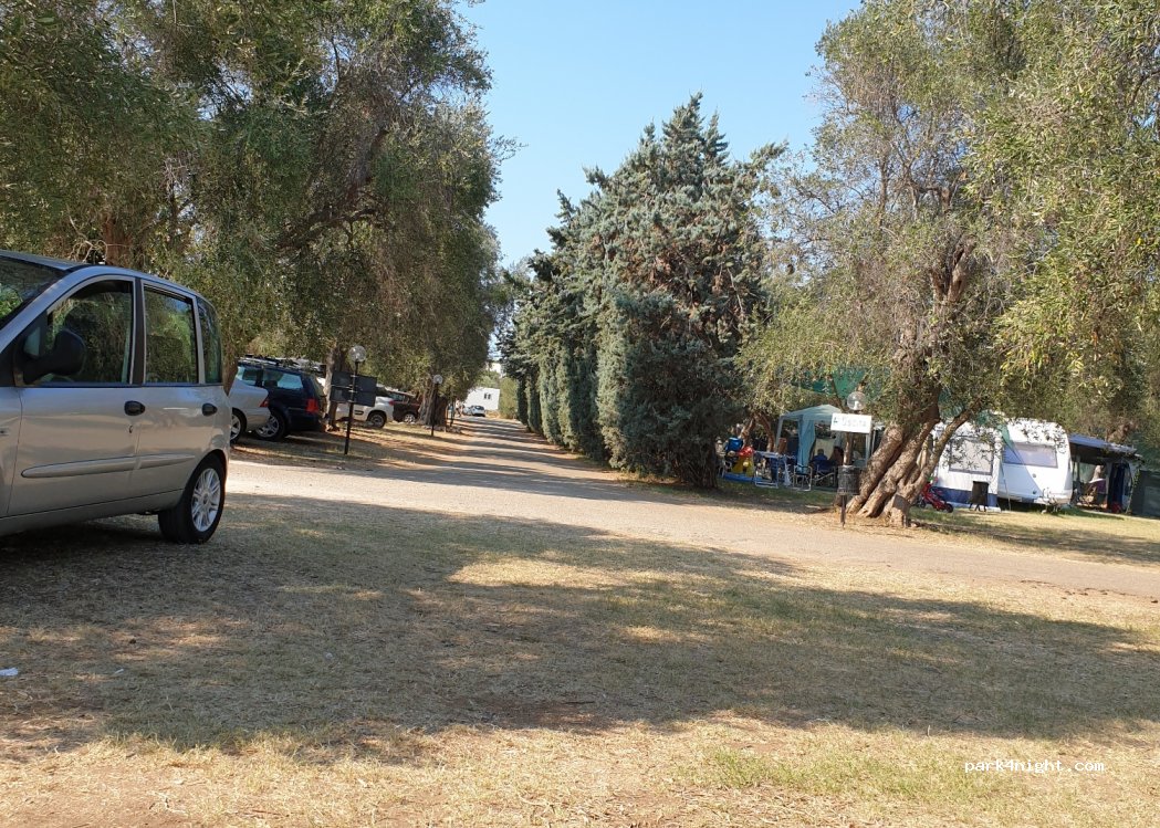 Villaggio Turistico Camping Parco Degli Ulivi — foto 4