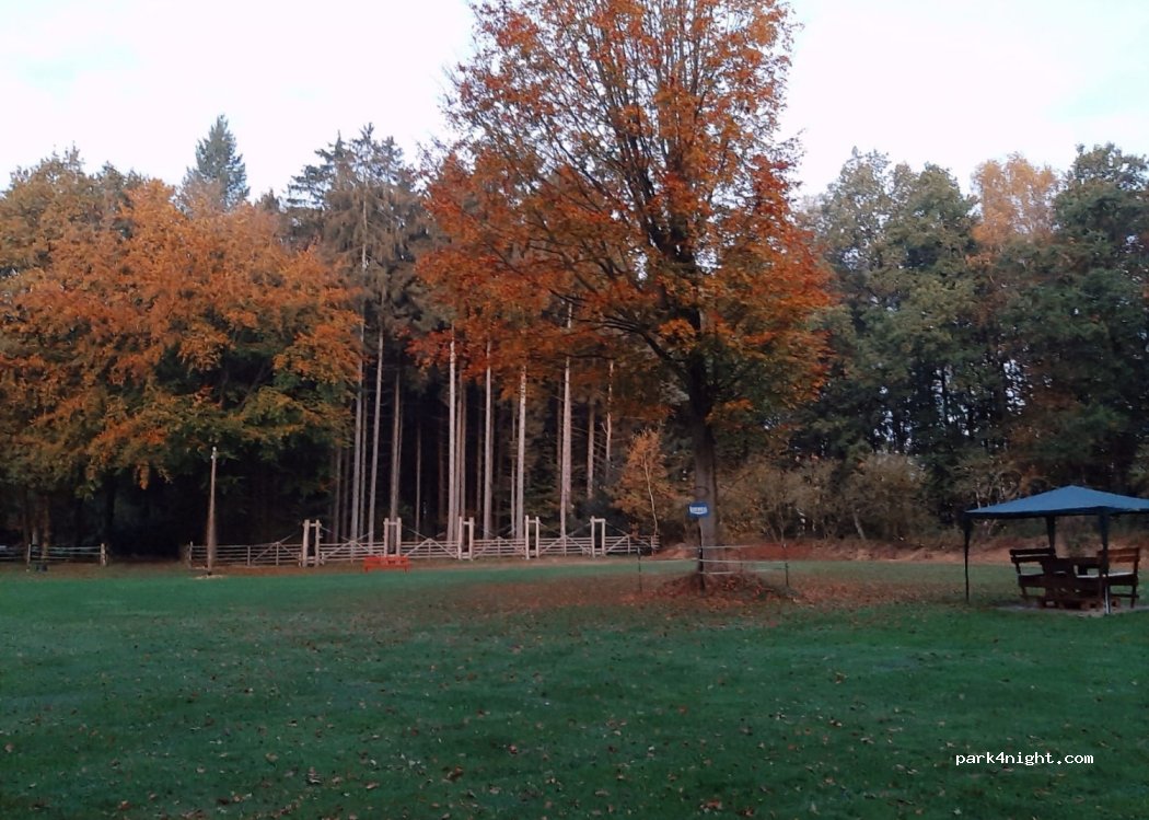 (29643) Neuenkirchen - 4 Leverdingen — foto 5