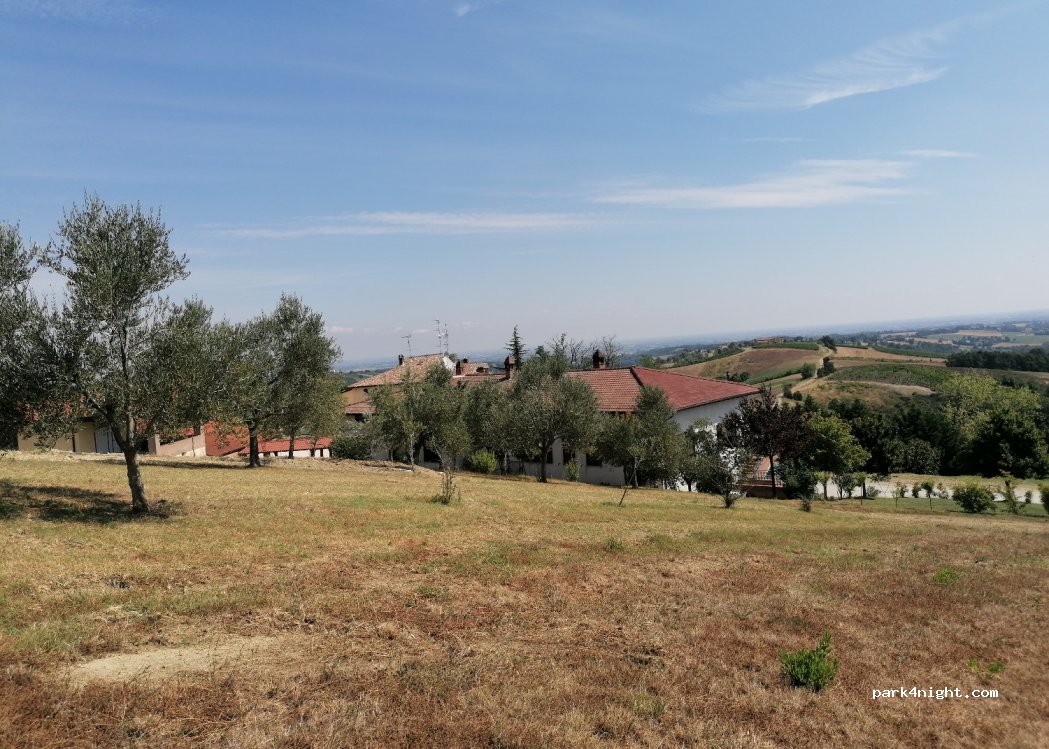 Società Agricola Visconti Massimo & C. — foto 4