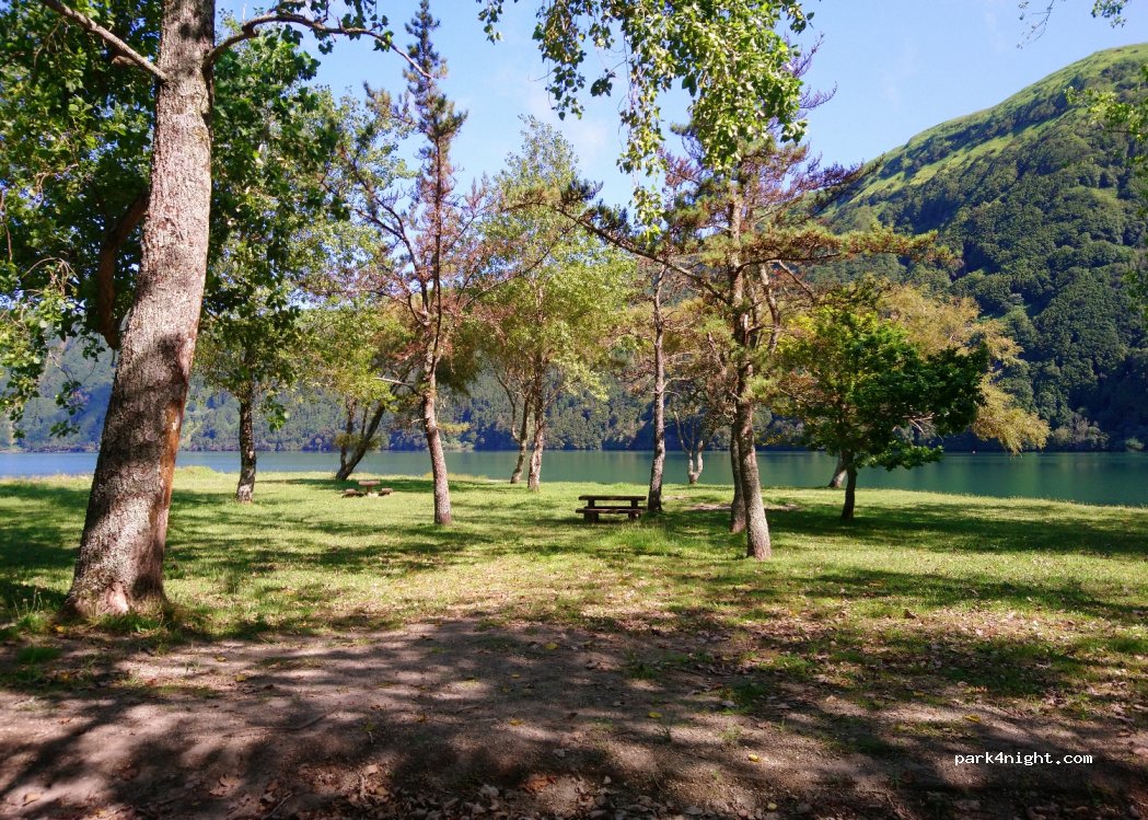 (9555) Cerrado das Freiras - Cerrado das Freiras — foto 3