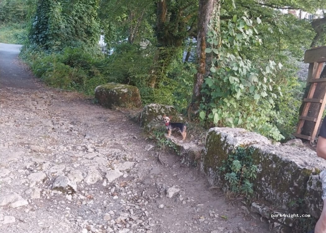 (01450) Serrières-sur-Ain - 14b Route de Poncin — foto 3