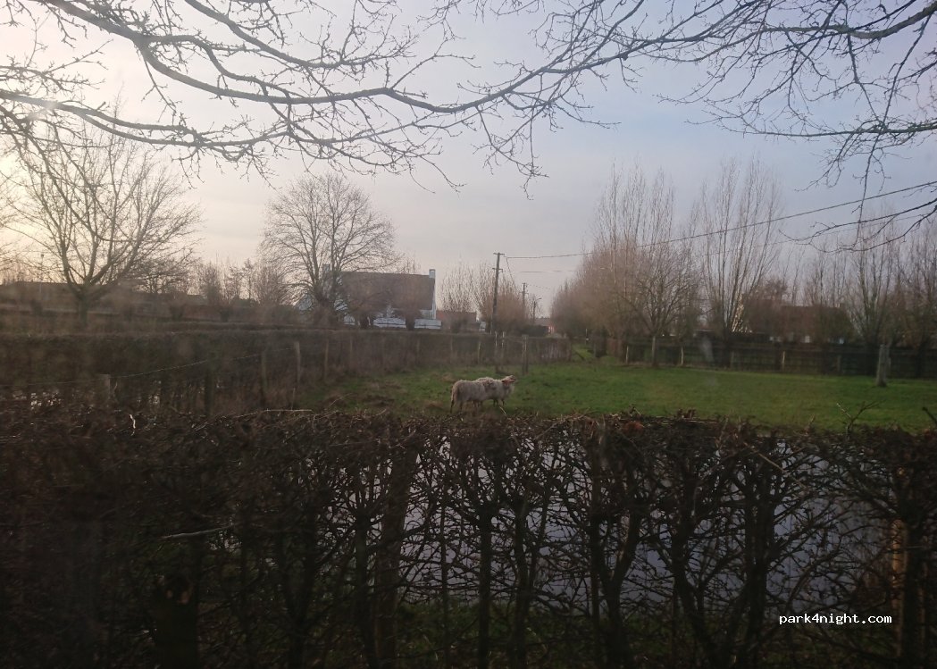 (8020) Oostkamp - 6 Denemetstraat — foto 4