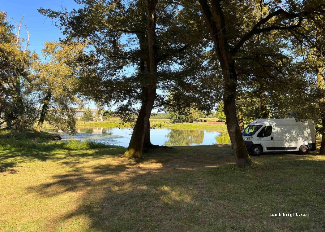 (40380) Saint-Jean-de-Lier - Route du Bois — foto 2
