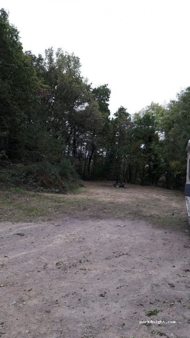 (14570) Le Vey - La Bruyère — foto
